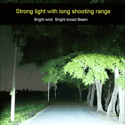 Multifunctional Rechargeable Flashlight detail view