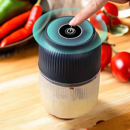 Electric Mini Food Chopper-300ml, 4-Blade Electric Processor